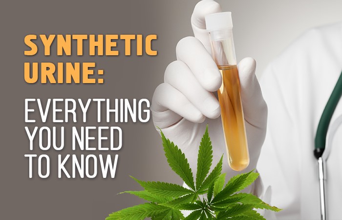 Synthetic Urine Buy Windsor Forest Stafford VA